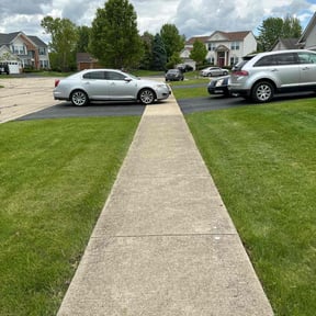 yard care by TM&F Projects reviewed on August 19, 2025