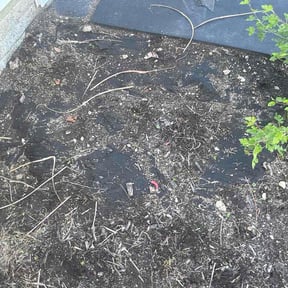 Flower Bed Weeding by Ricks Lawn Care and Maintenance reviewed on May 7, 2026