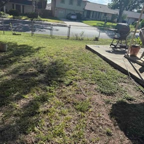 Flower Bed Weeding by Bright Landscaping Services reviewed on November 20, 2025