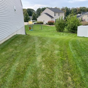 yard care by MCC Property Preservationr reviewed on August 20, 2025