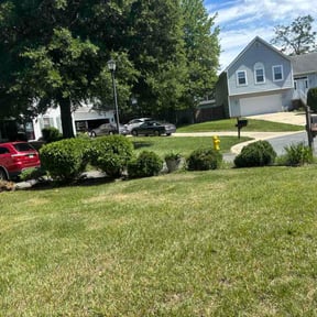 Bush Trimming by D.P.S (Dave Property Services) reviewed on June 15, 2026