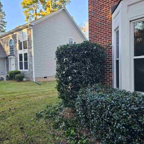 Bush Trimming by The leaf village reviewed on September 10, 2024