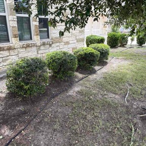 Bush Trimming by Aaron's Happy Home &amp; Lawns reviewed on June 10, 2026