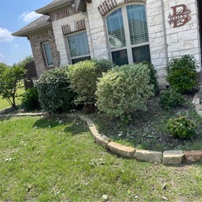 Bush Trimming by Anival landscaping reviewed on August 15, 2025