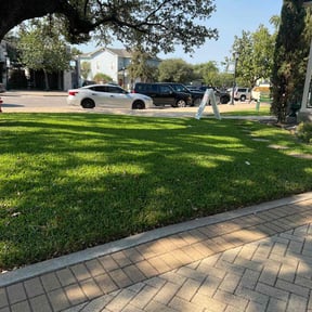 landscaping by Rich&#039;s Renovations reviewed on November 21, 2025