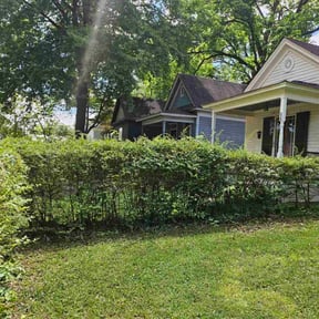 Bush Trimming by National preservation and REO services reviewed on November 24, 2025