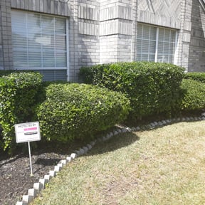Bush Trimming by Jackson quality landscape reviewed on August 19, 2025
