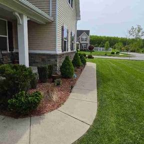 Bush Trimming by J Jr’s Lawn Maintenance reviewed on May 27, 2026