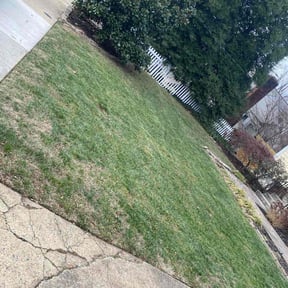 Leaf Removal by Roger waddle service llc reviewed on August 14, 2026