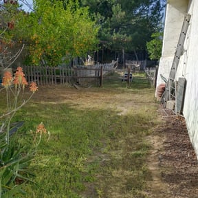 Bush Trimming by S & G Landscaping, Inc. reviewed on August 16, 2025
