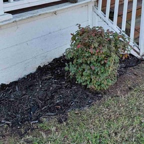 Flower Bed Weeding by Serenity Lawn Care and Property Maintenance reviewed on January 8, 2026