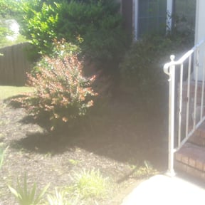 Flower Bed Weeding by BLC reviewed on August 15, 2025