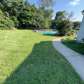 lawn service by LSLTDallas/FortWorthTruGreen reviewed on August 15, 2025