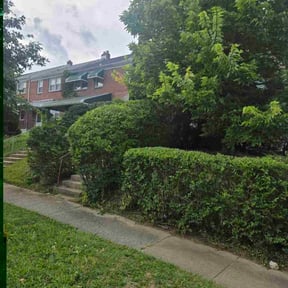 Bush Trimming by India lawn care reviewed on October 21, 2025