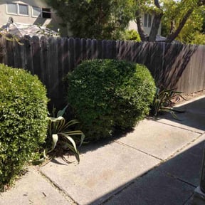 Bush Trimming by Christian Brothers Maintenance reviewed on October 22, 2025