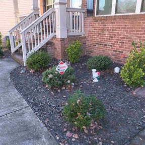 Leaf Removal by Top hawg lawn care reviewed on July 21, 2026