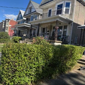 Bush Trimming by CCA Lawn Care reviewed on November 18, 2025