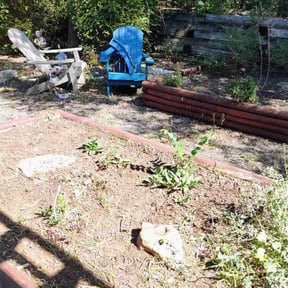 Flower Bed Weeding by Black-out lawn reviewed on November 5, 2025