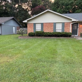 Bush Trimming by Capital Mowing reviewed on November 22, 2025