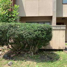 Bush Trimming by ANDES PRO SERVICES LLC reviewed on November 19, 2025