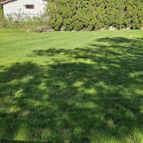 lawn service by Corey's Cuts Lawncare LLC reviewed on September 9, 2023