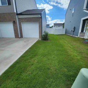 turf maintenance by #1 grass man reviewed on May 10, 2024
