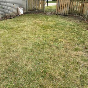 Leaf Removal by Dxd lawn care reviewed on December 16, 2025