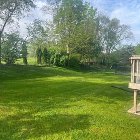 lawn service by Premier Lawn Management reviewed on April 18, 2024