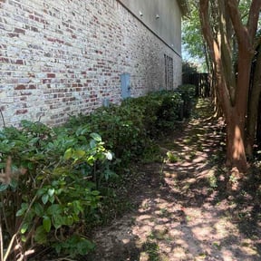 Bush Trimming by SLC Lawn Artisty reviewed on June 8, 2026