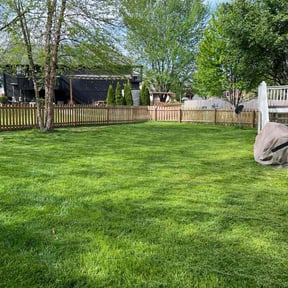 residential landscaping by Gary Guzman reviewed on August 16, 2025