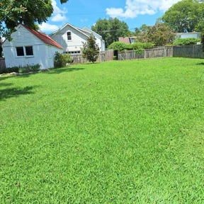 yard maintenance by Baker Lawncare reviewed on August 19, 2025