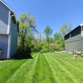 lawn service by Byers Lawn reviewed on June 20, 2025