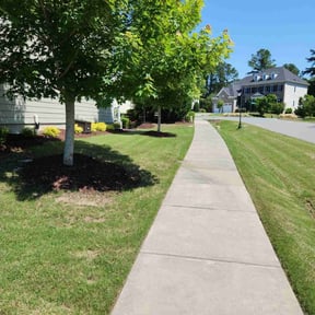yard service by Central Jersey Environmental Services reviewed on August 15, 2025