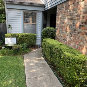 Bush Trimming by McNeil's lawn care & maintenance reviewed on August 19, 2025