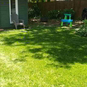 yard service by Los Hombre Landscaping reviewed on November 22, 2025