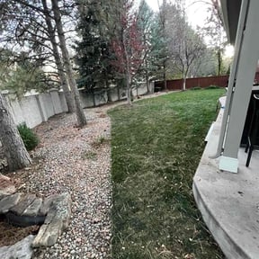 Leaf Removal by Willie Lawn Care and More LLC reviewed on November 9, 2025