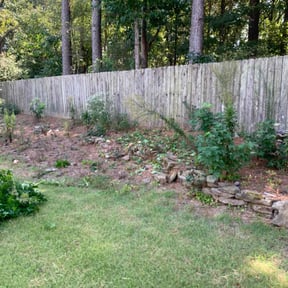 Bush Trimming by Just Cuts Lawn Care reviewed on December 3, 2025