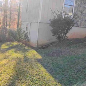 Leaf Removal by Just A Man and A Mower LLC reviewed on August 16, 2025