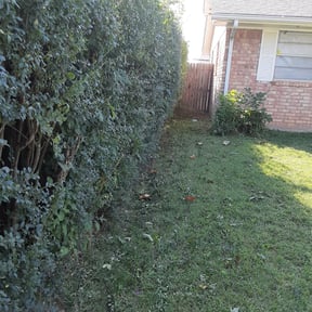 Bush Trimming by Happy Face Landscaping reviewed on August 15, 2025