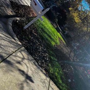Leaf Removal by Osiel Landscaping reviewed on November 19, 2025