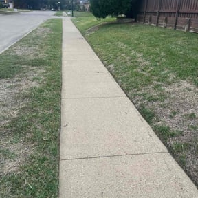 Bush Trimming by Tejanos lawn&amp;Landscape reviewed on November 24, 2025