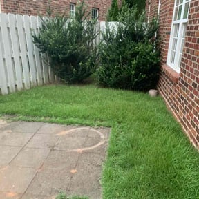 Bush Trimming by El Caribe Lawn &amp; Palms reviewed on September 14, 2023