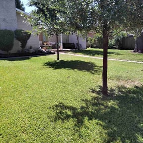 landscaping by Neighborhood Mow & Go LLC reviewed on August 18, 2025