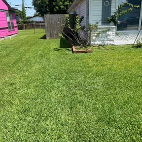 grass maintenance by Daniel Torres reviewed on August 20, 2025