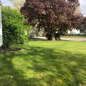 lawn maintenance by Scooter Mania reviewed on May 11, 2025