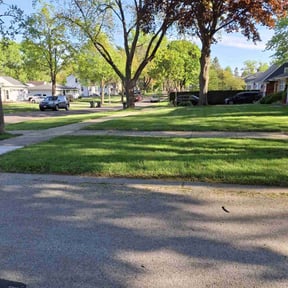 yard maintenance by Morris Lawncare reviewed on August 17, 2025