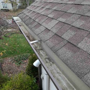 Leaf Removal by Blue Scapes reviewed on November 24, 2025