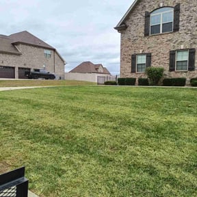 Bush Trimming by A Step Above Lawn Care LLC reviewed on August 13, 2025
