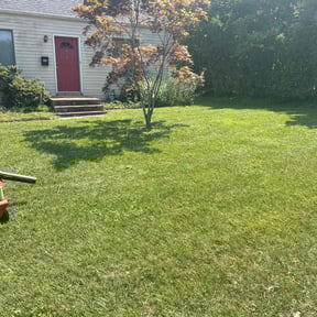 lawn maintenance by Lion's Landscaping reviewed on April 20, 2024