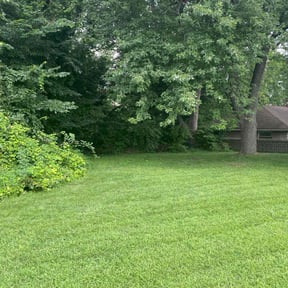 grass cutting by Big 3 Lawns and Landscaping reviewed on August 19, 2025